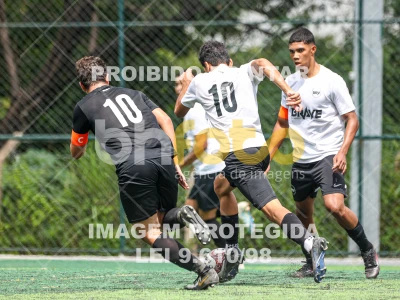 Detalhes da foto #76506