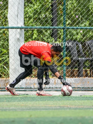 Detalhes da foto #85636