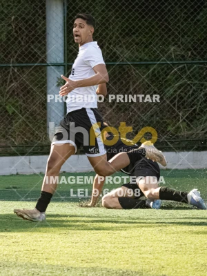 Detalhes da foto #4619824