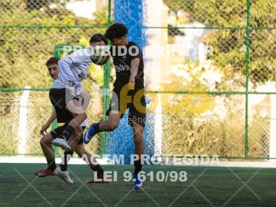 Detalhes da foto #6480593