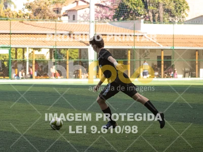 Detalhes da foto #8729302