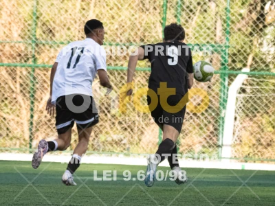 Detalhes da foto #3399709
