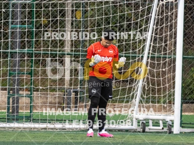 Detalhes da foto #9856849