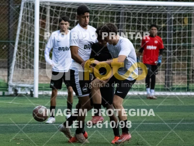 Detalhes da foto #8437527