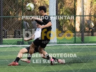 Detalhes da foto #2537191