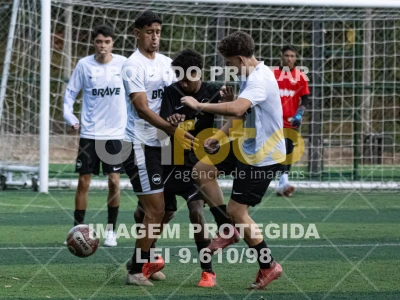 Detalhes da foto #5524574