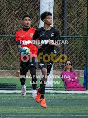Detalhes da foto #8310300