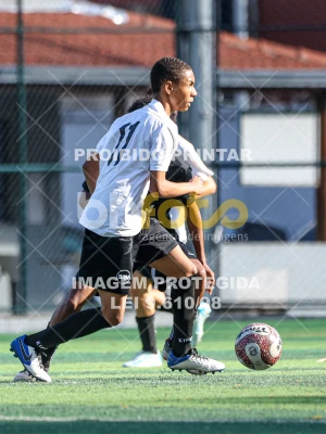 Detalhes da foto #8517815