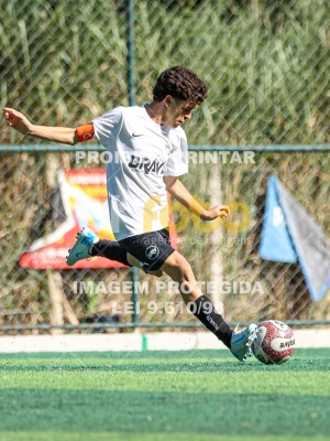 Detalhes da foto #3035147