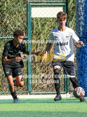 Detalhes da foto #2799638