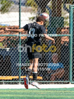 Detalhes da foto #7300926