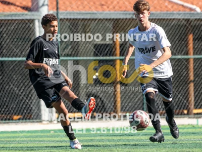 Detalhes da foto #8638216