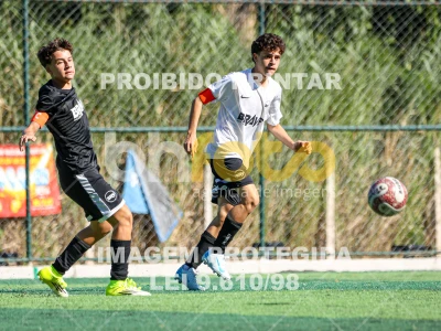 Detalhes da foto #4459183