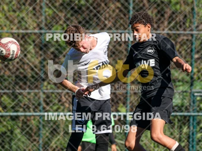 Detalhes da foto #5515424