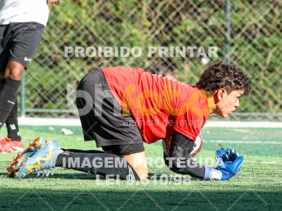 Detalhes da foto #2006778