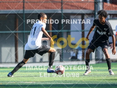 Detalhes da foto #8644196