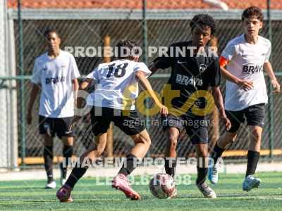 Detalhes da foto #2517772