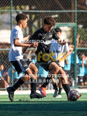 Detalhes da foto #4097777