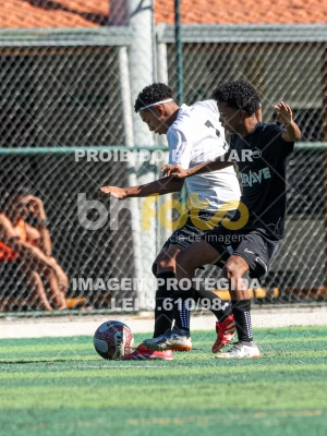 Detalhes da foto #9485370