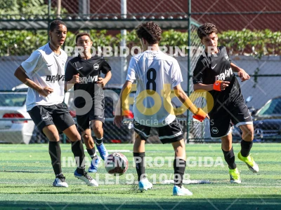 Detalhes da foto #4162463