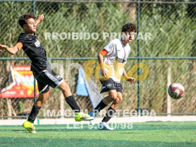 Detalhes da foto #7894910