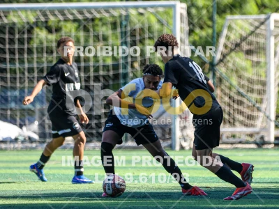 Detalhes da foto #2717259