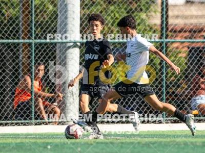 Detalhes da foto #4285609