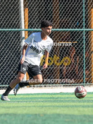 Detalhes da foto #8294720