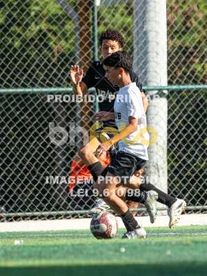 Detalhes da foto #3469275