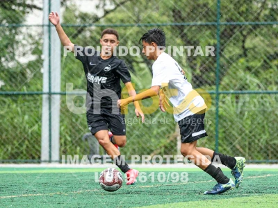 Detalhes da foto #88895