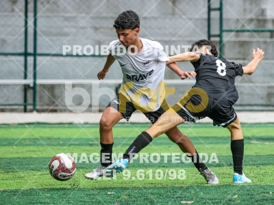 Detalhes da foto #38436