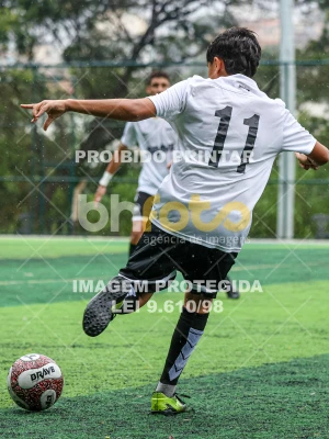 Detalhes da foto #95786