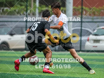 Detalhes da foto #14628