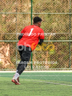 Detalhes da foto #7485351