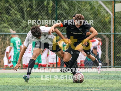 Detalhes da foto #3987487