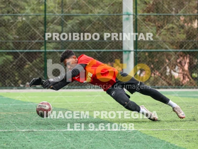 Detalhes da foto #3973315