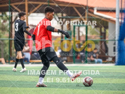 Detalhes da foto #3433673