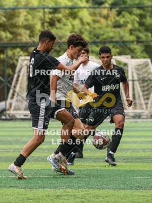 Detalhes da foto #8446982