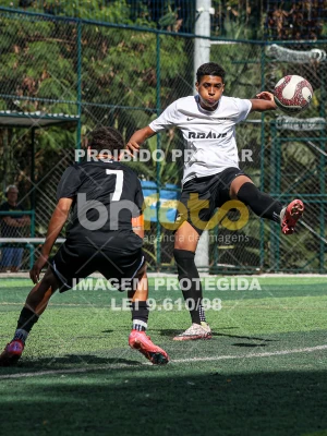 Detalhes da foto #47704