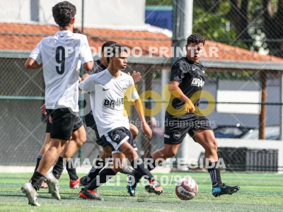 Detalhes da foto #56662