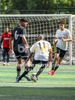 Detalhes da foto #71323