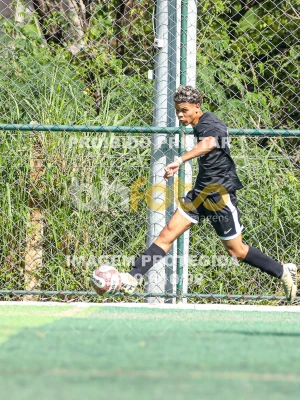 Detalhes da foto #95274