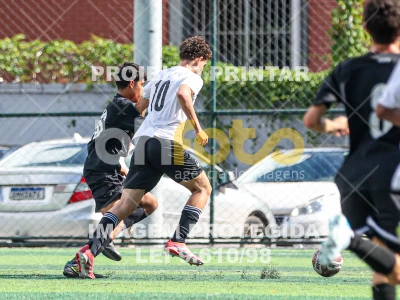 Detalhes da foto #49948