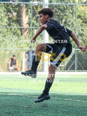 Detalhes da foto #77290