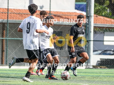 Detalhes da foto #66188