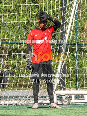 Detalhes da foto #42083