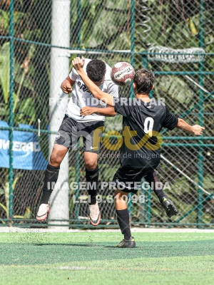 Detalhes da foto #38027