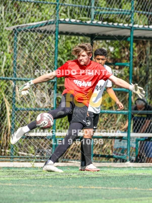 Detalhes da foto #96002