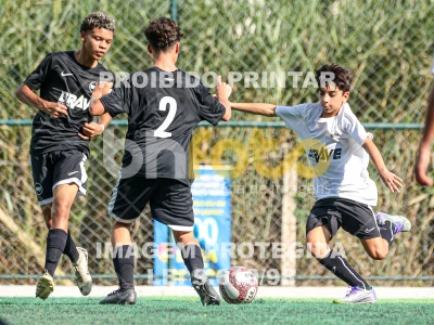 Detalhes da foto #36808