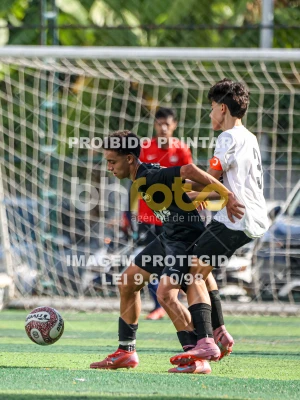 Detalhes da foto #20687